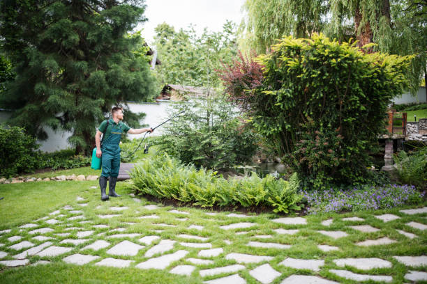 Best Pest Prevention Services  in Little Elm, TX