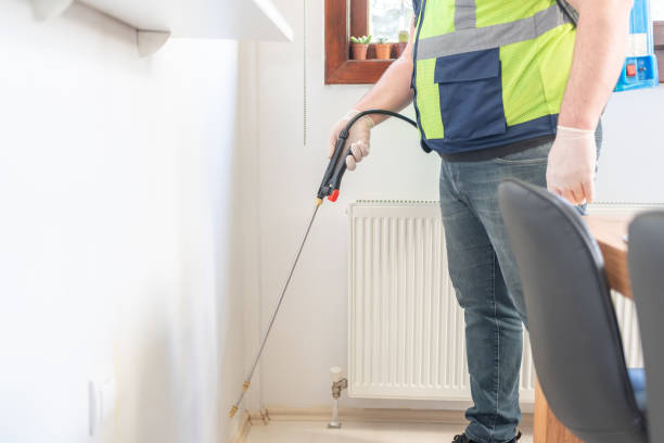 Best Pest Control Near Me  in Little Elm, TX