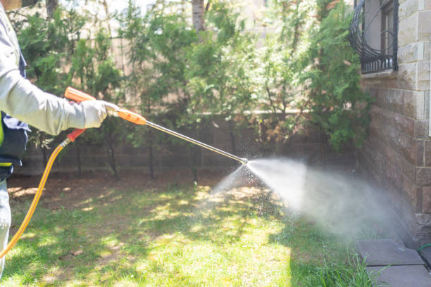 Best Rodent Control Near Me  in Little Elm, TX